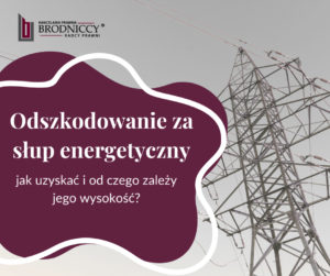Odszkodowanie za słupy energetyczne na działce - jak uzyskać i od czego zależy jego wysokość?